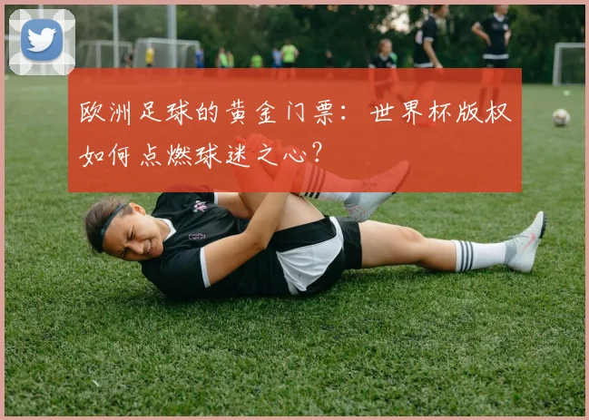 欧洲足球的黄金门票:世界杯版权如何点燃球迷之心?