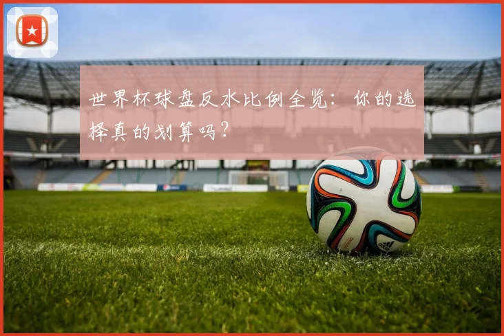 世界杯球盘反水比例全览:你的选择真的划算吗?