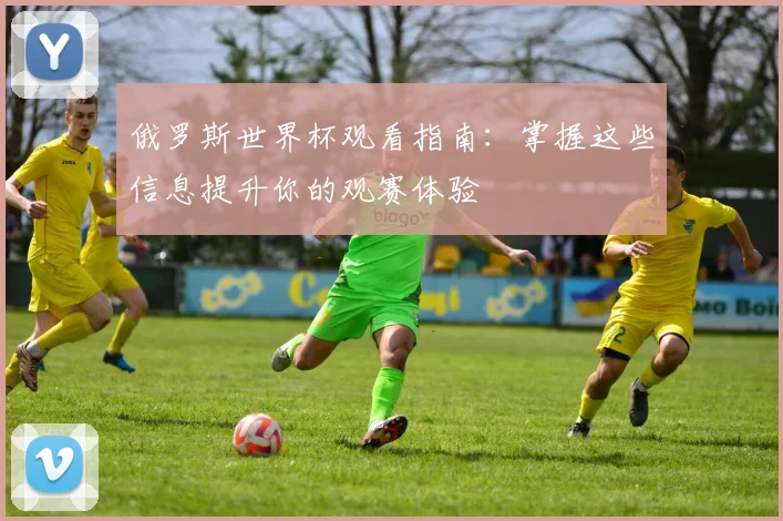俄罗斯世界杯观看指南:掌握这些信息提升你的观赛体验
