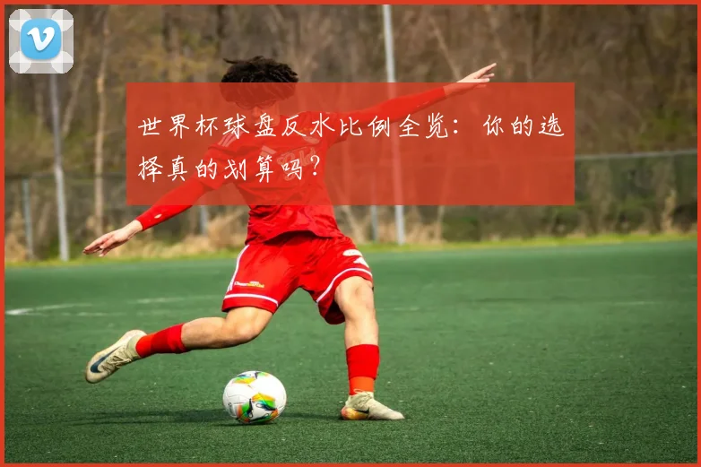 世界杯球盘反水比例全览:你的选择真的划算吗?