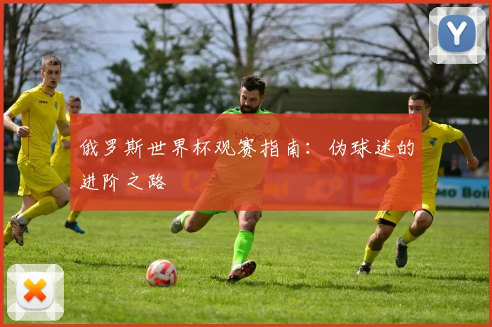 俄罗斯世界杯观赛指南:伪球迷的进阶之路
