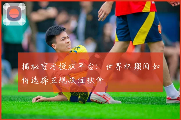 揭秘官方授权平台：世界杯期间如何选择正规投注软件