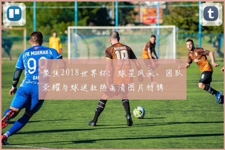 聚焦2018世界杯:球星风采、团队荣耀与球迷狂热高清图片特辑