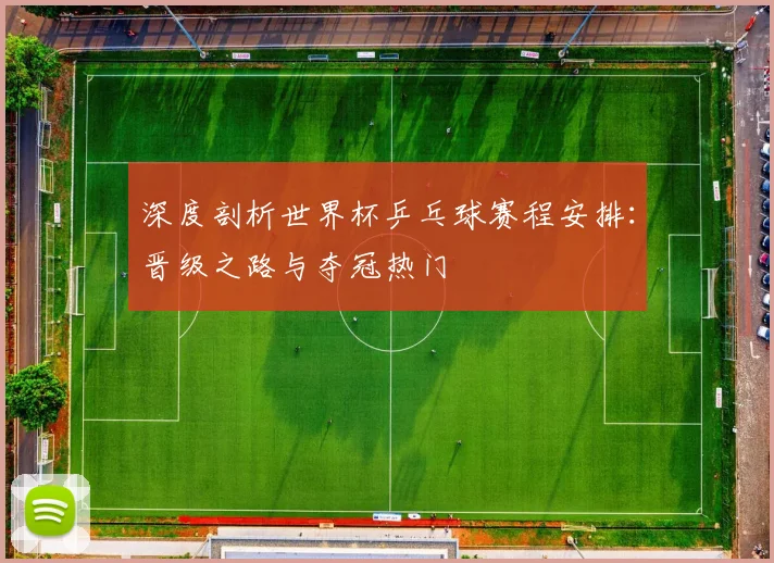 深度剖析世界杯乒乓球赛程安排:晋级之路与夺冠热门