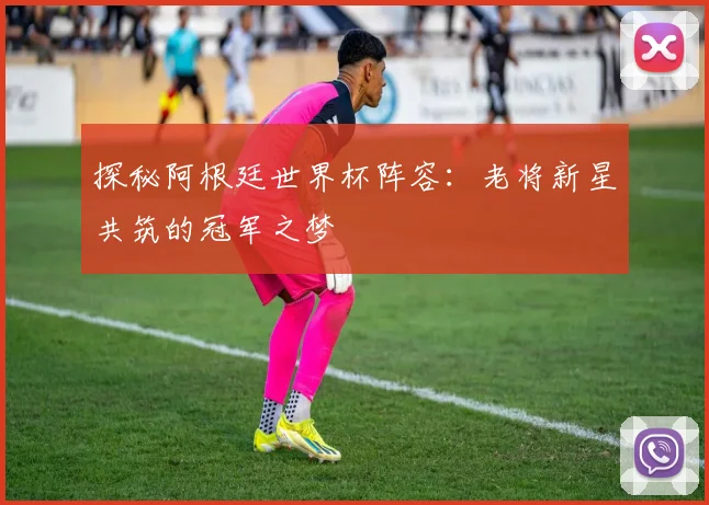 探秘阿根廷世界杯阵容:老将新星共筑的冠军之梦
