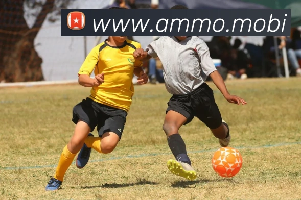 开云手机网页入口全站App